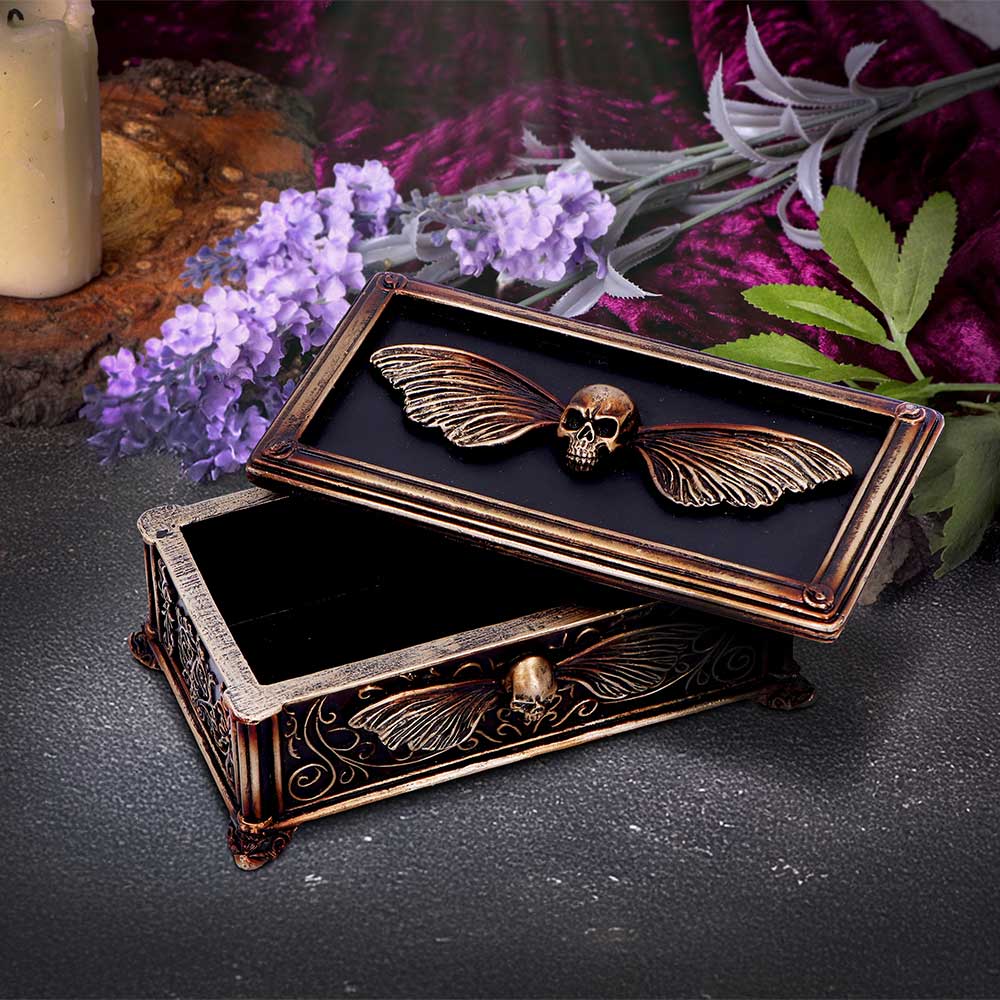 Deaths Head Treasure Ornamental Box 14.5cm 7