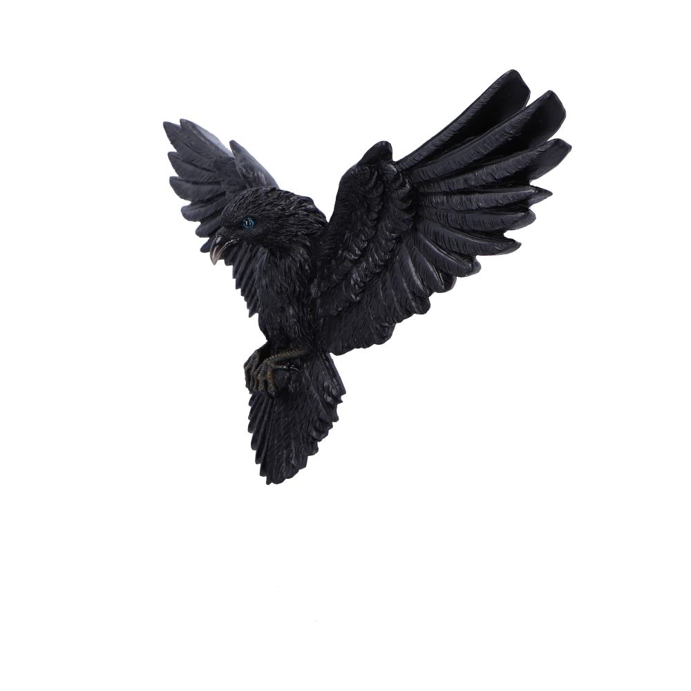 Flight of the Raven Wall Hanging Decoration 35cm 2