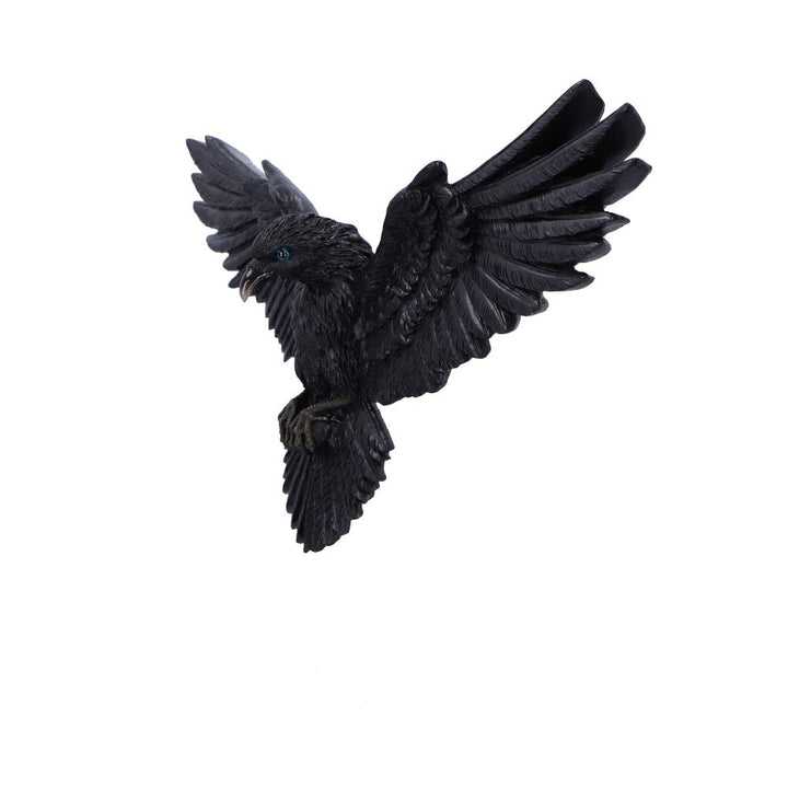 Flight of the Raven Wall Hanging Decoration 35cm 2