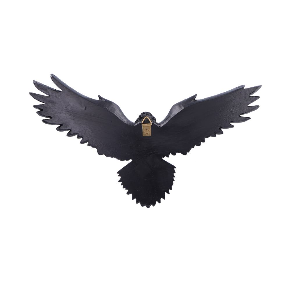 Flight of the Raven Wall Hanging Decoration 35cm 3