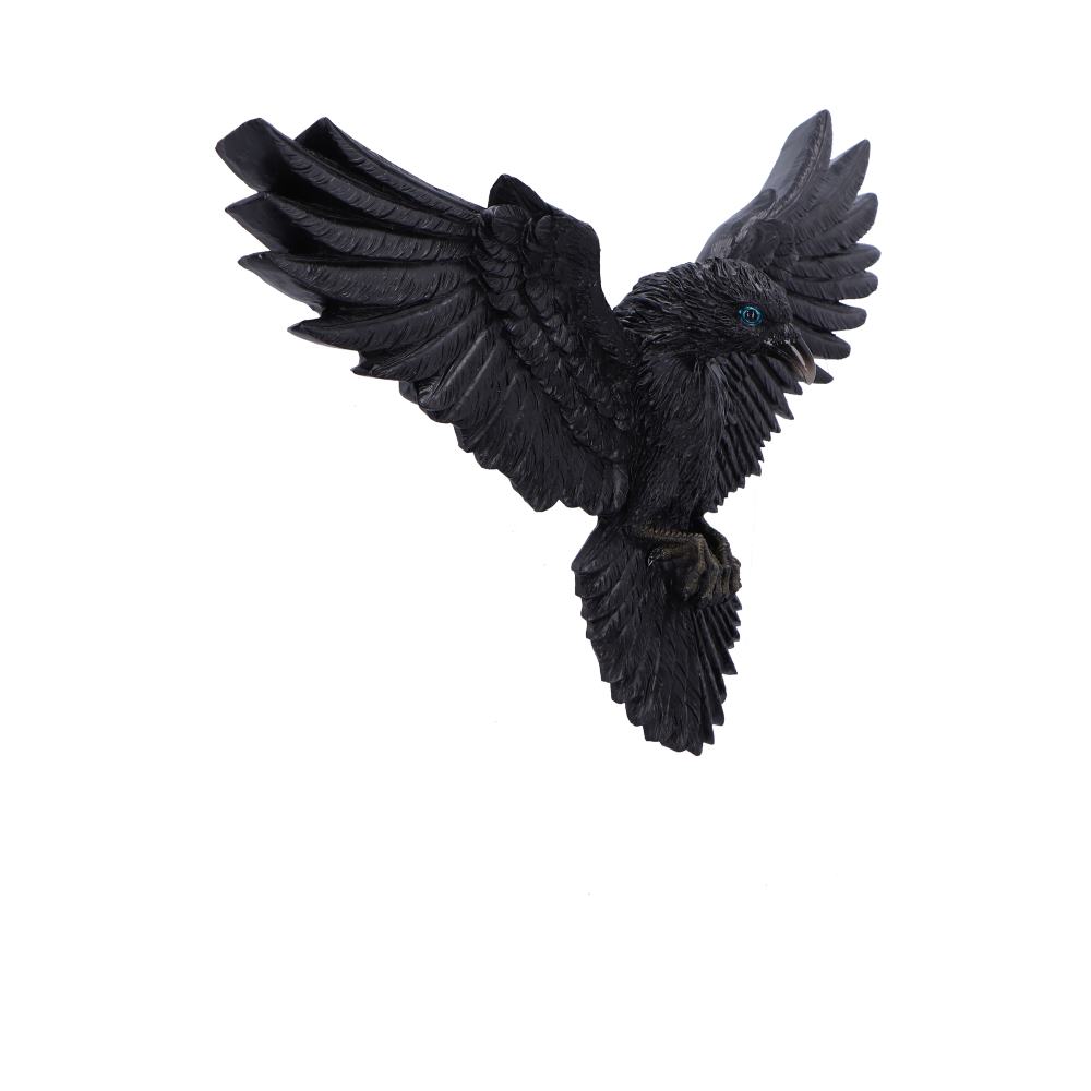 Flight of the Raven Wall Hanging Decoration 35cm 4