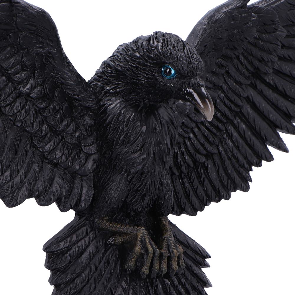 Flight of the Raven Wall Hanging Decoration 35cm 5