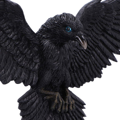 Flight of the Raven Wall Hanging Decoration 35cm 5