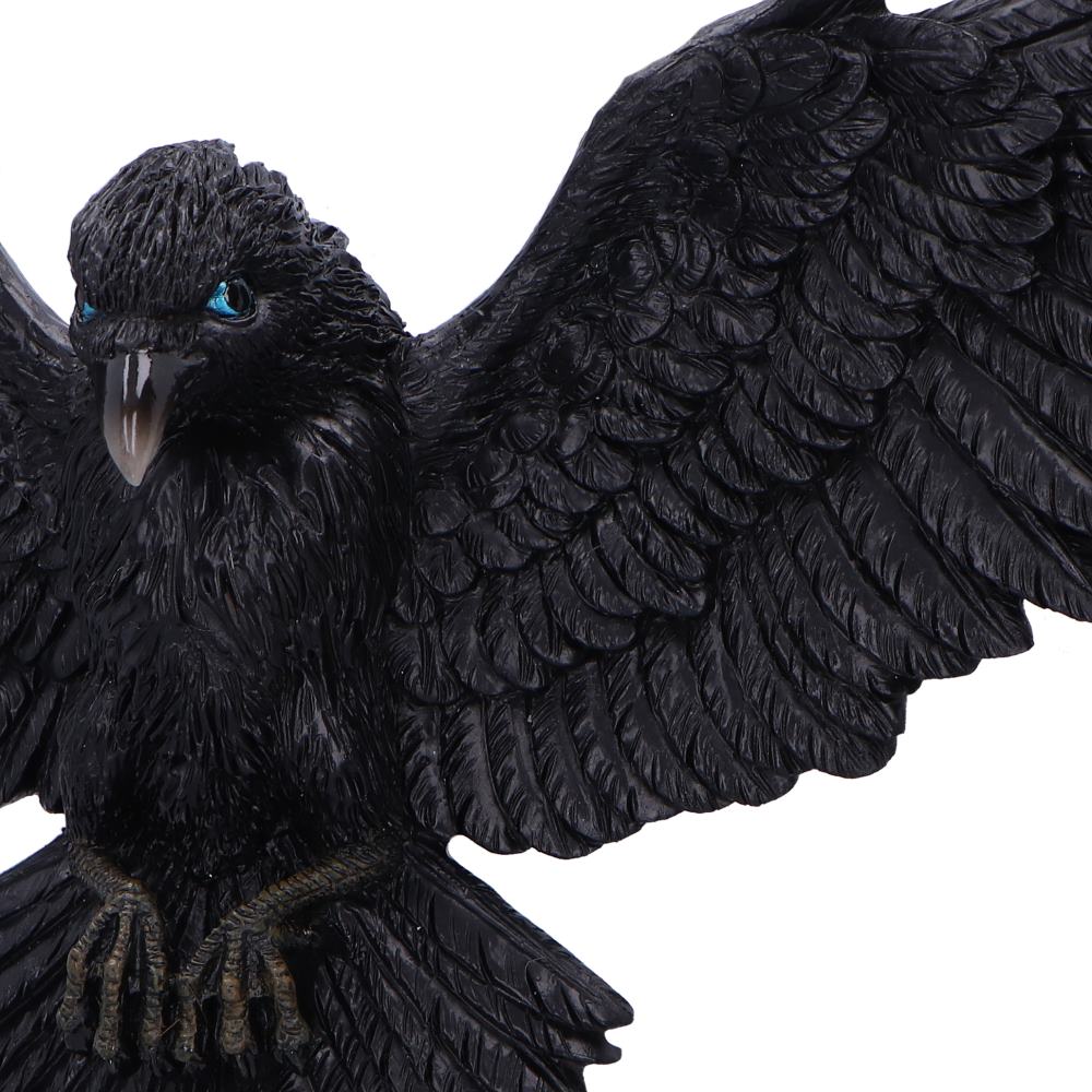 Flight of the Raven Wall Hanging Decoration 35cm 6