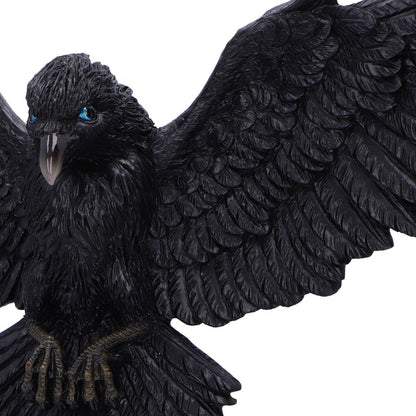 Flight of the Raven Wall Hanging Decoration 35cm 6