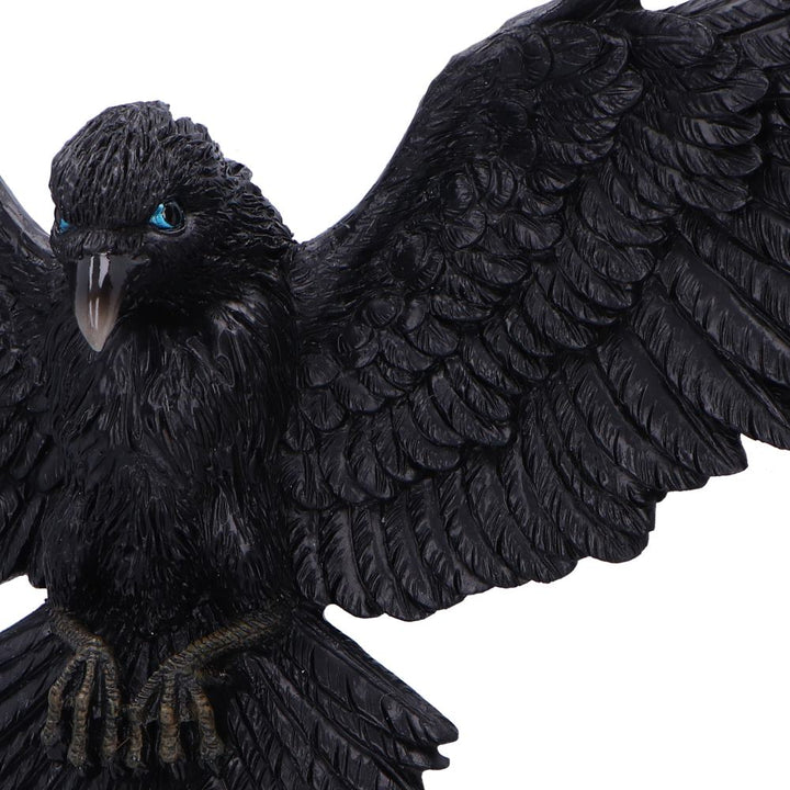 Flight of the Raven Wall Hanging Decoration 35cm 6