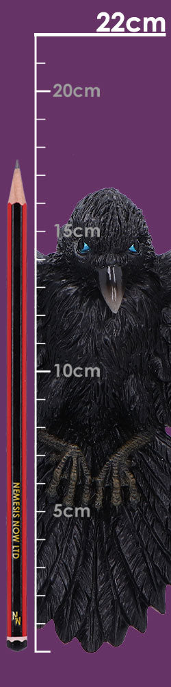 Flight of the Raven Wall Hanging Decoration 35cm 8