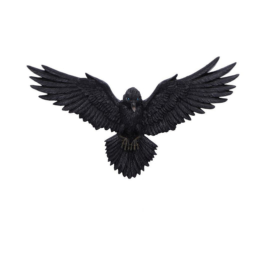 Flight of the Raven Wall Hanging Decoration 35cm 1