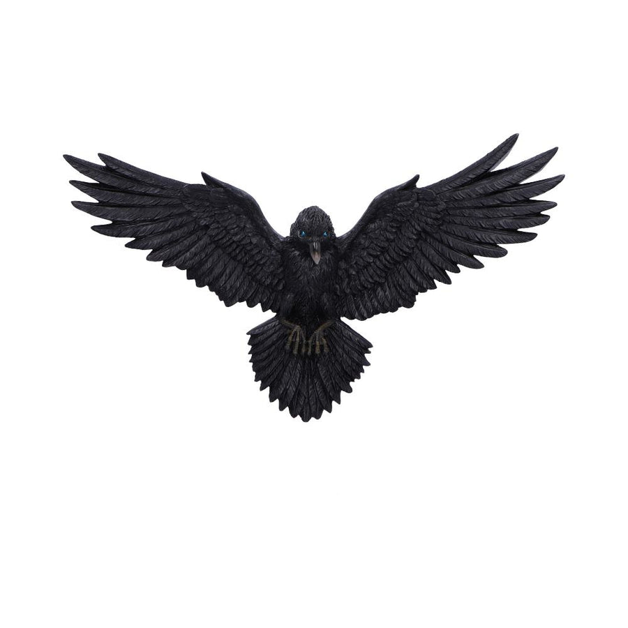 Flight of the Raven Wall Hanging Decoration 35cm 1