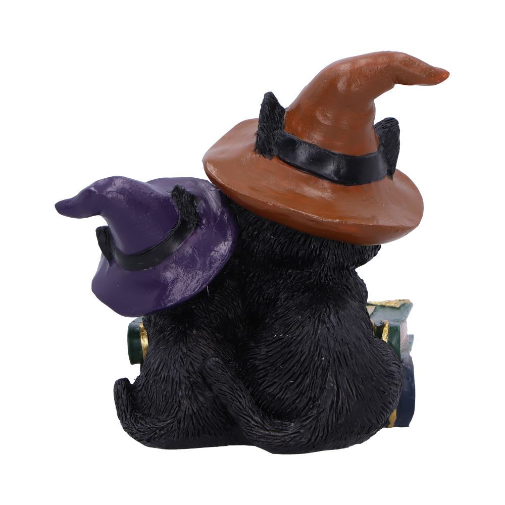Duo Divination Witches Cat Figurine 10cm 3