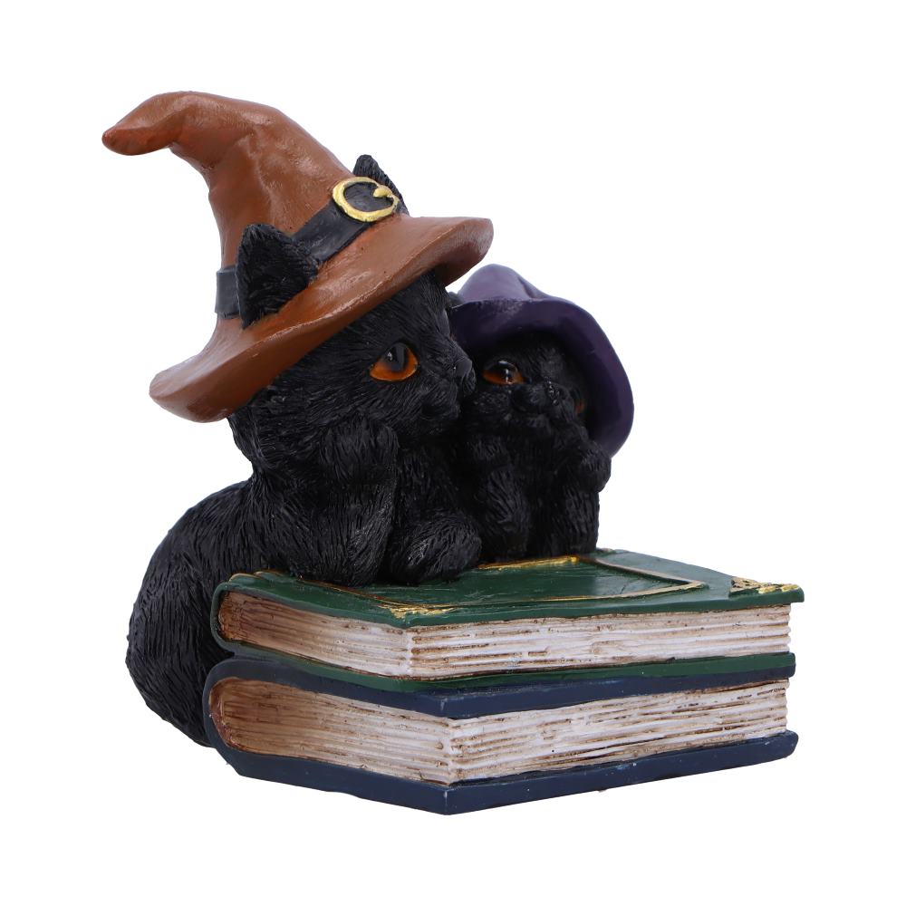Duo Divination Witches Cat Figurine 10cm 4