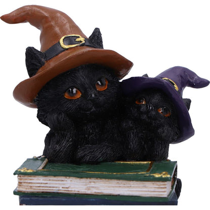 Duo Divination Witches Cat Figurine 10cm 5