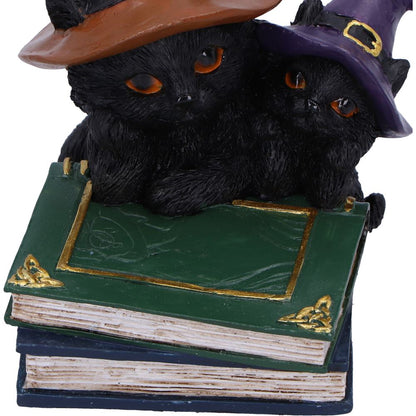 Duo Divination Witches Cat Figurine 10cm 6