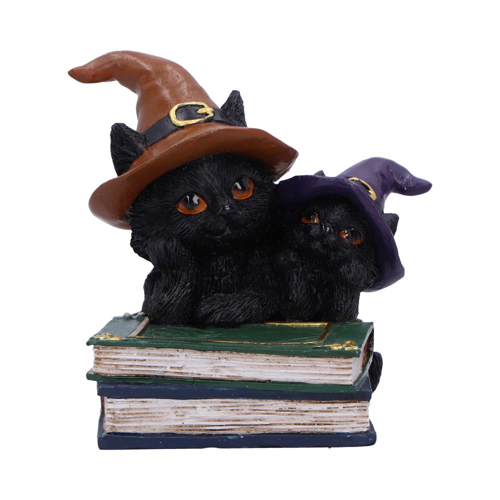 Duo Divination Witches Cat Figurine 10cm 1