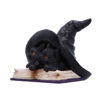 Potion Pair Witches Cat Figurine 10.5cm 2
