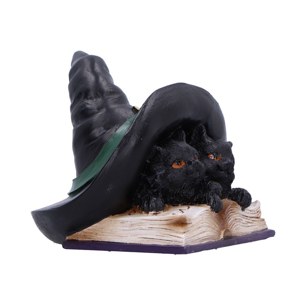 Potion Pair Witches Cat Figurine 10.5cm 4