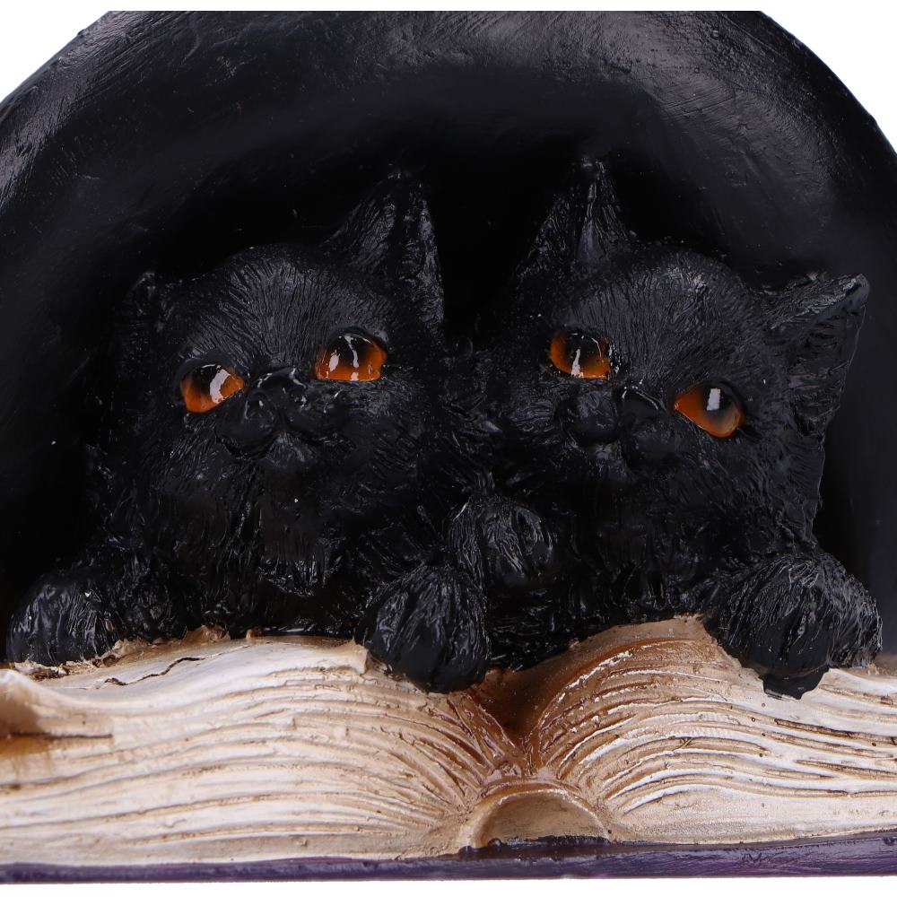 Potion Pair Witches Cat Figurine 10.5cm 5