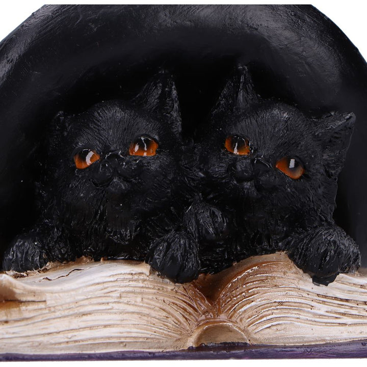 Potion Pair Witches Cat Figurine 10.5cm 5