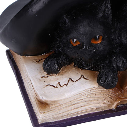 Potion Pair Witches Cat Figurine 10.5cm 6