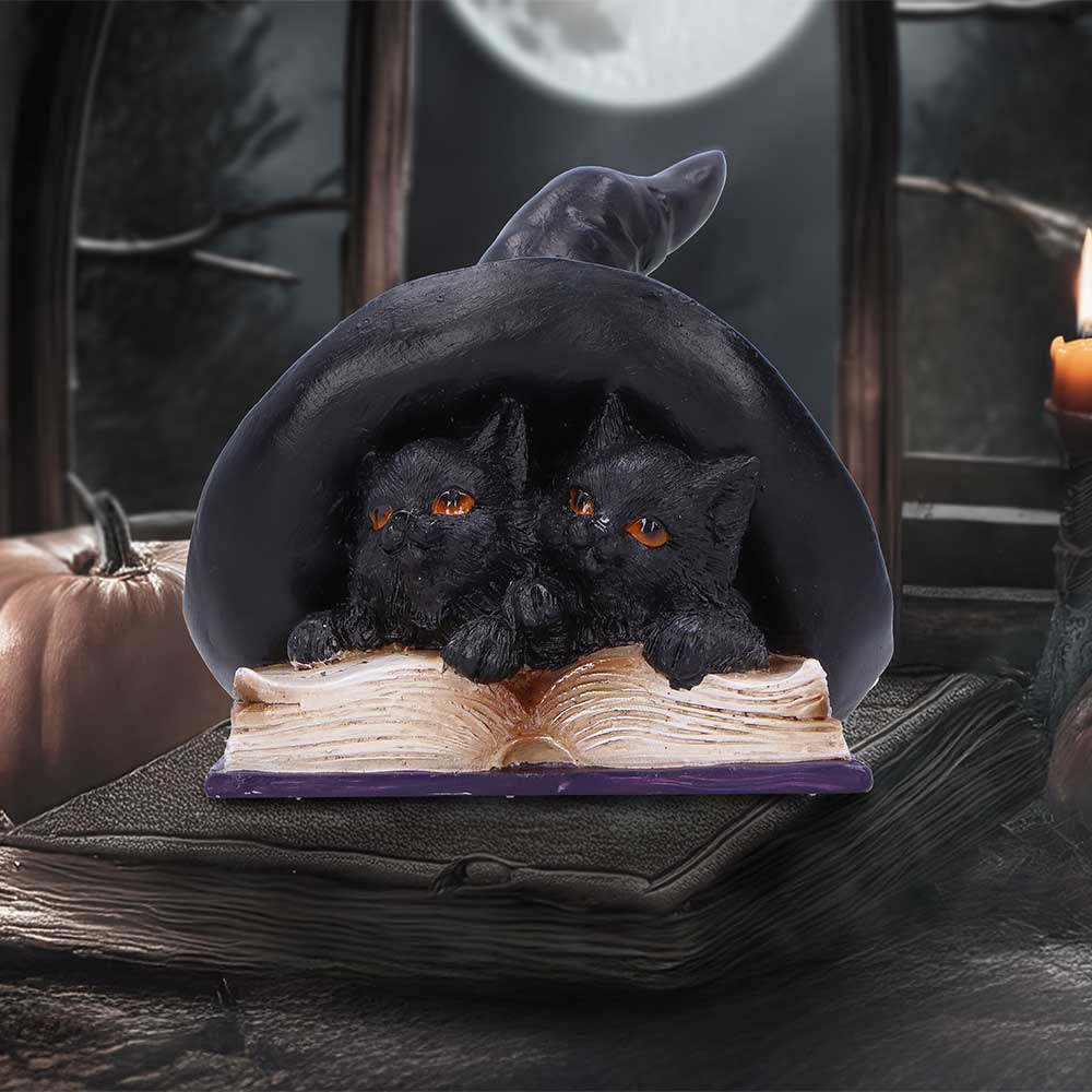 Potion Pair Witches Cat Figurine 10.5cm 7