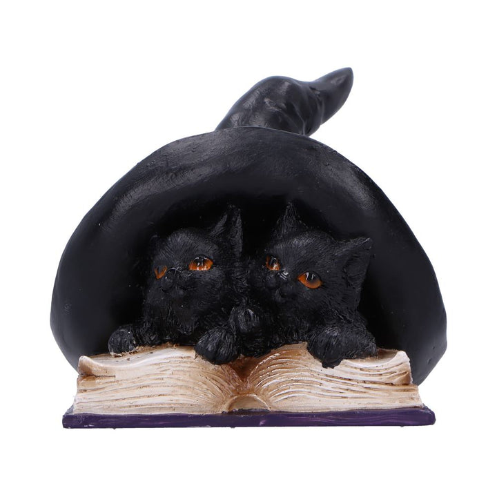 Potion Pair Witches Cat Figurine 10.5cm 1