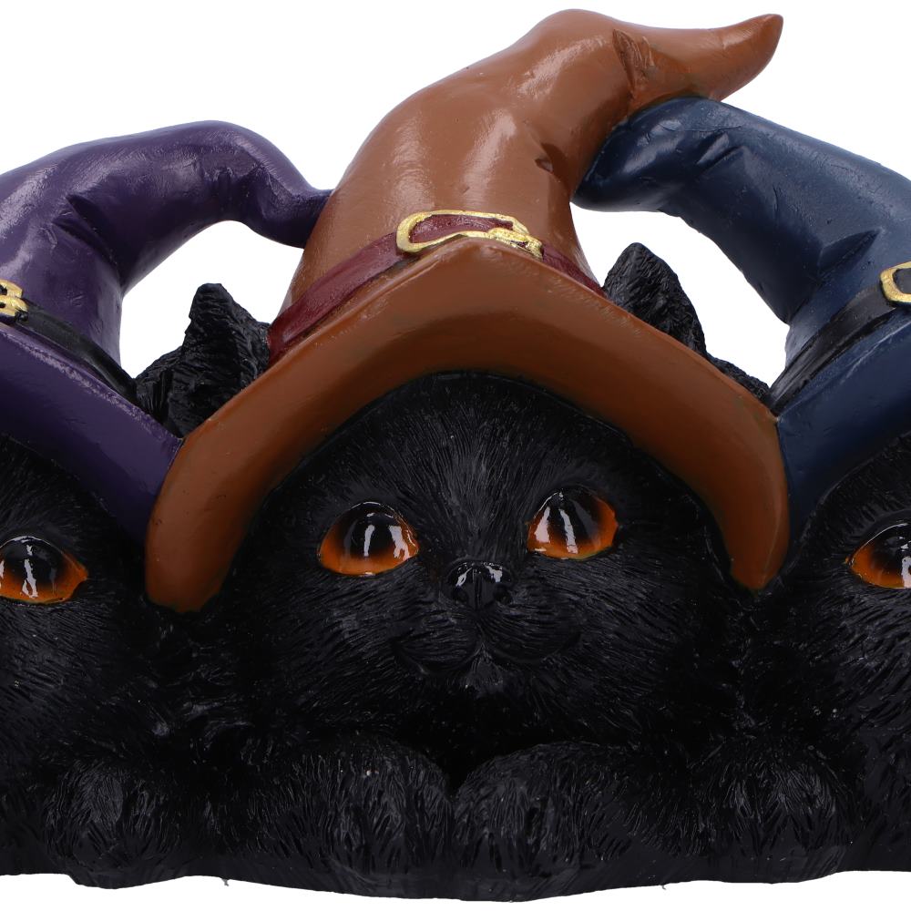 Trio of Mischief Witches Cats Figurine 20cm 5