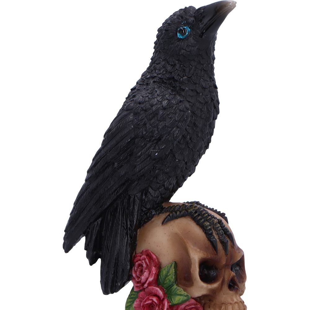 Perched Prophecy Mini Raven Figurine 17cm 5