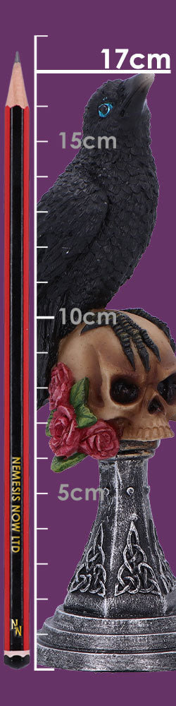 Perched Prophecy Mini Raven Figurine 17cm 8
