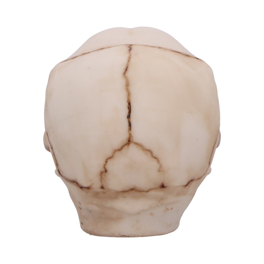 Eyes Wide Open Pink Decorative Resin Skull 8.7cm 4