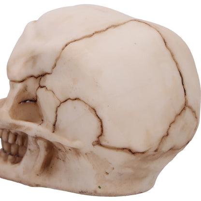 Eyes Wide Open Pink Decorative Resin Skull 8.7cm 6