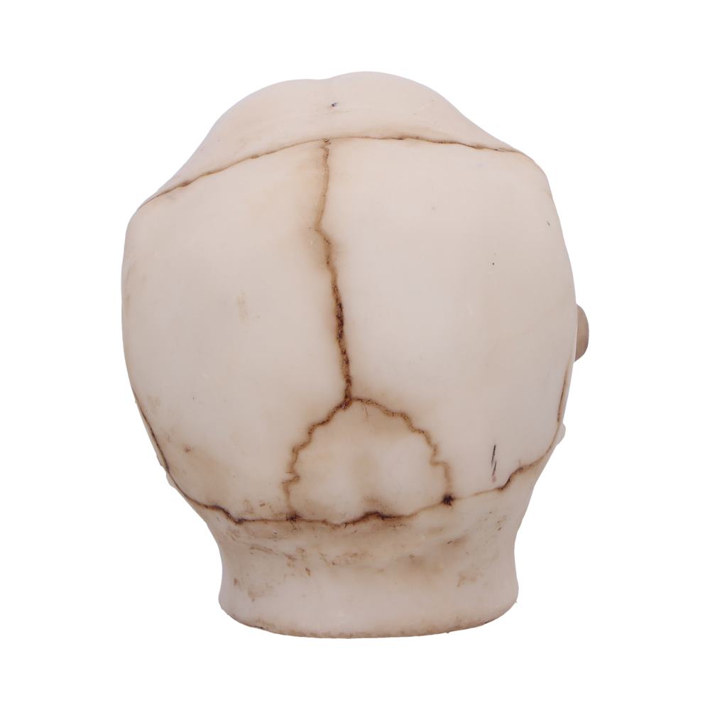 Eyes Wide Open Red Decorative Resin Skull 8.7cm 4
