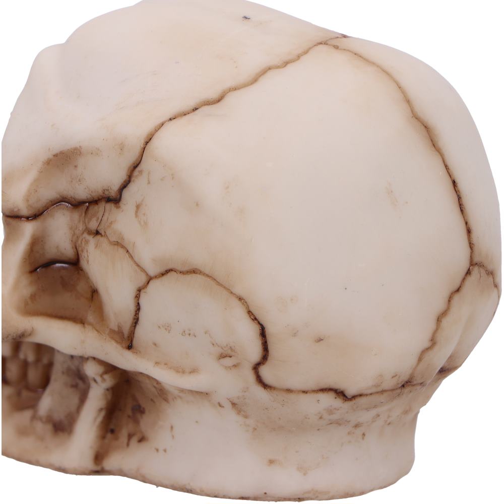 Eyes Wide Open Red Decorative Resin Skull 8.7cm 6