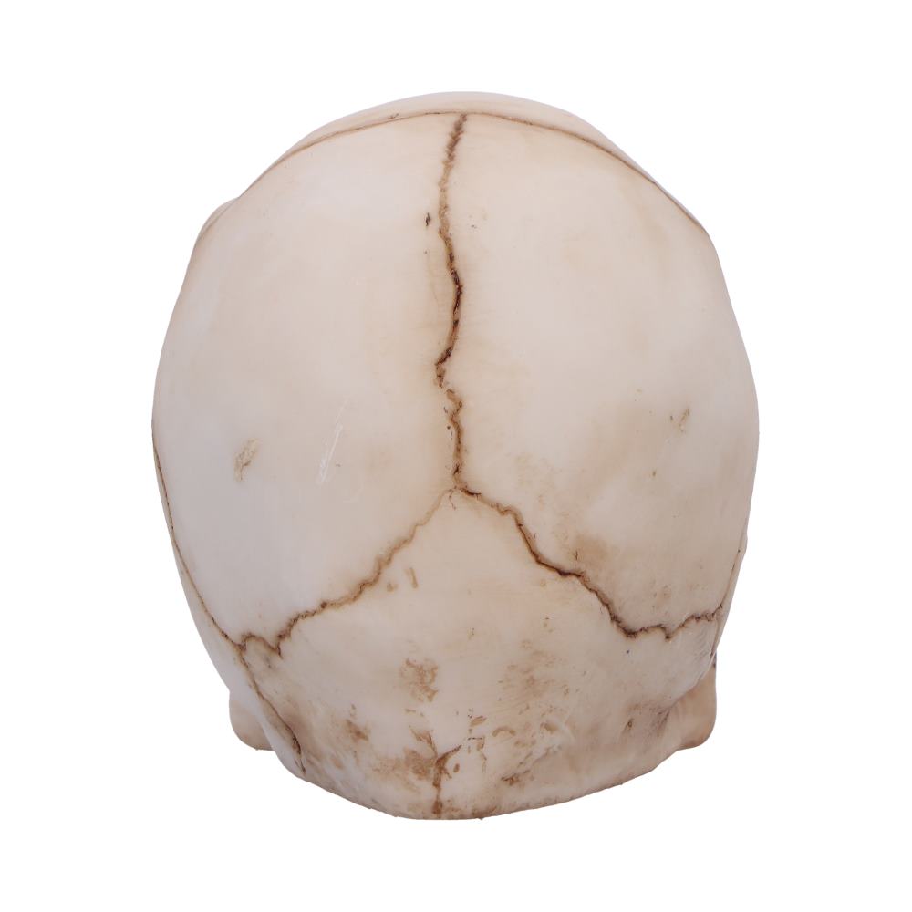 Eyes Wide Open Green Decorative Resin Skull 7cm 4