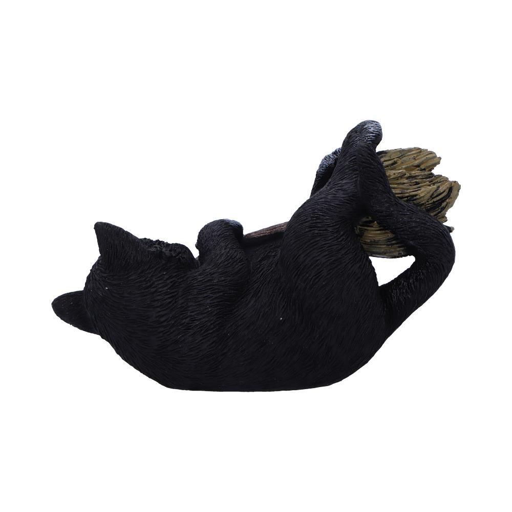 Magical Mischief Decorative Resin Cat Figurine 13.5cm 3