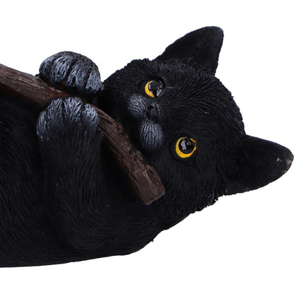 Magical Mischief Decorative Resin Cat Figurine 13.5cm 5