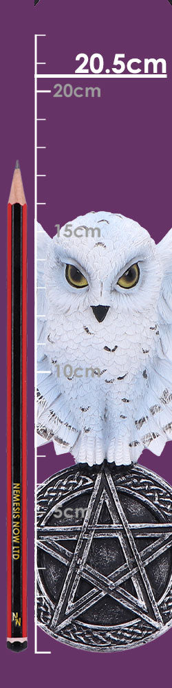 Owl Talisman Hanging Decoration 20.5cm 8