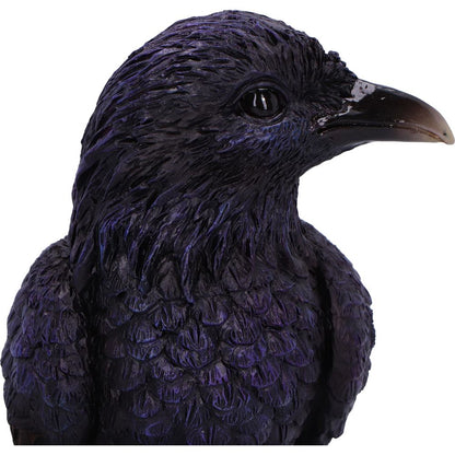 Raven Roost Backflow Incense Burner 17cm 5