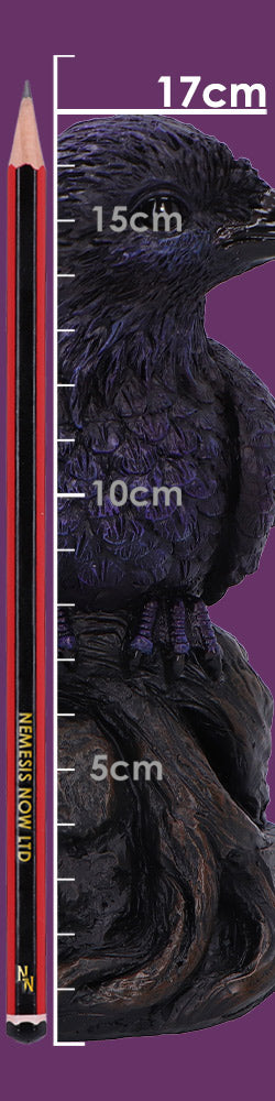 Raven Roost Backflow Incense Burner 17cm 8