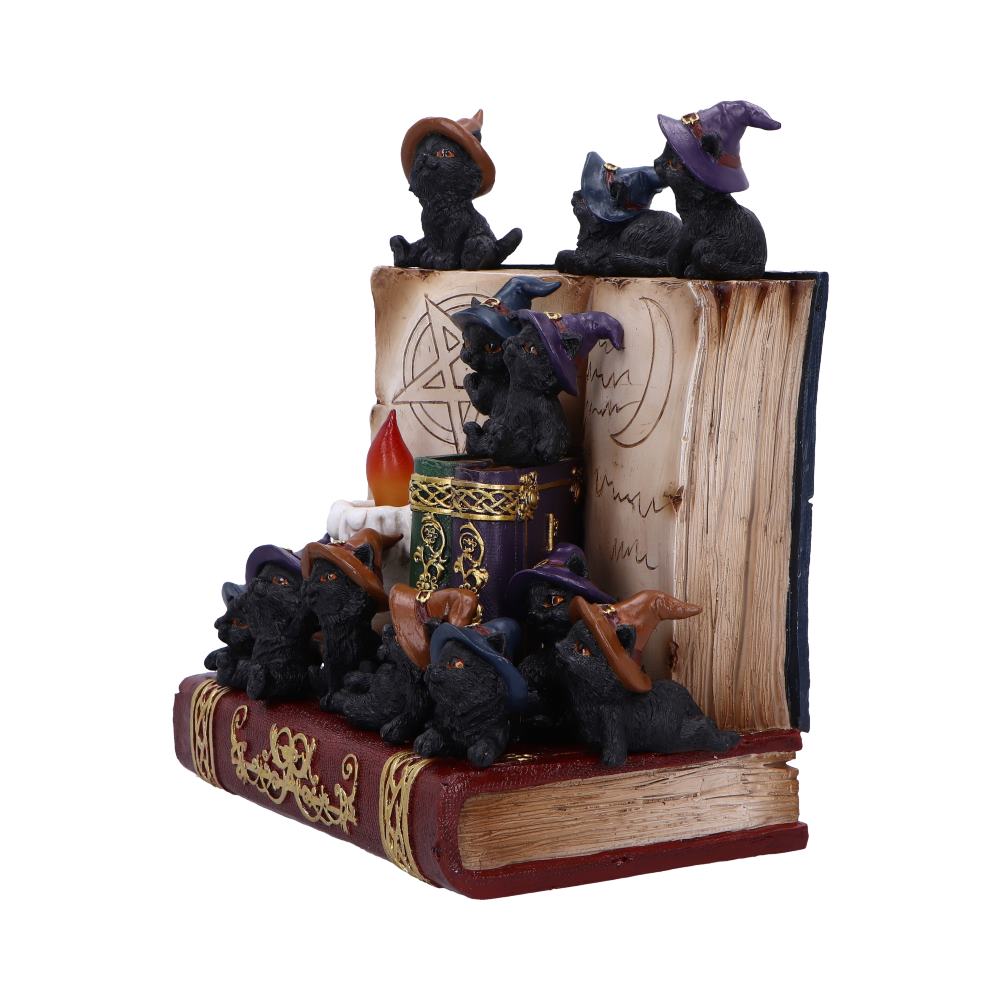 Coven Keepers Display Stand with 36 Pieces 2