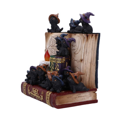 Coven Keepers Display Stand with 36 Pieces 2