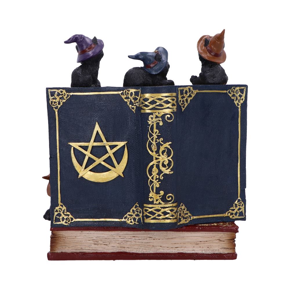 Coven Keepers Display Stand with 36 Pieces 3