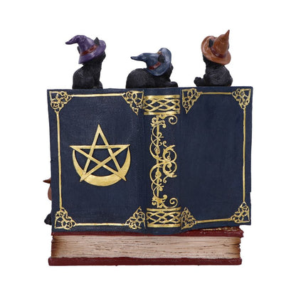 Coven Keepers Display Stand with 36 Pieces 3