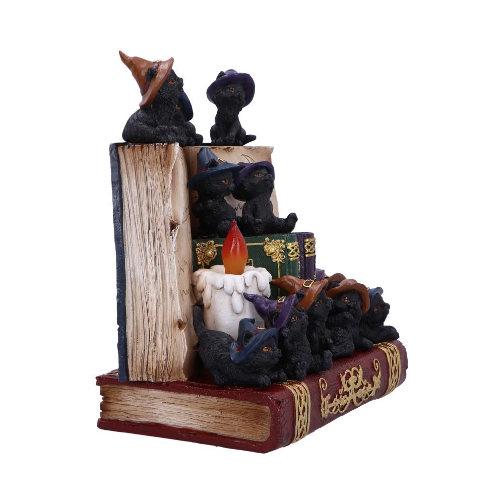 Coven Keepers Display Stand with 36 Pieces 4