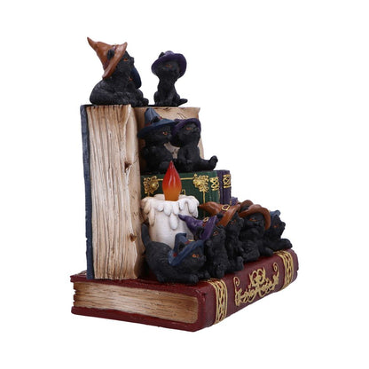 Coven Keepers Display Stand with 36 Pieces 4