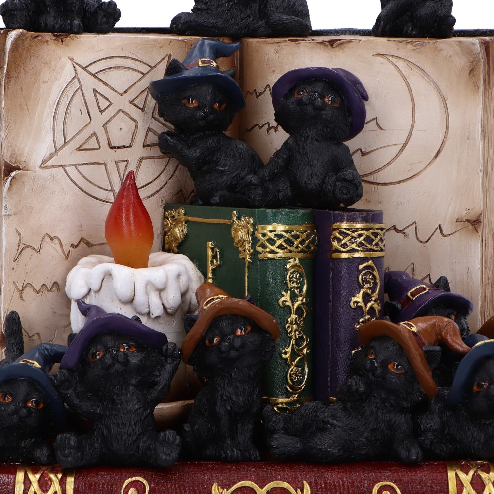 Coven Keepers Display Stand with 36 Pieces 5