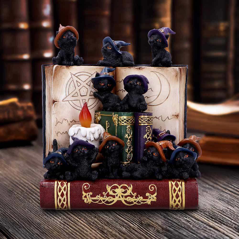 Coven Keepers Display Stand with 36 Pieces 7