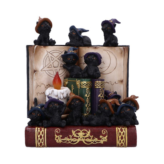 Coven Keepers Display Stand with 36 Pieces 1