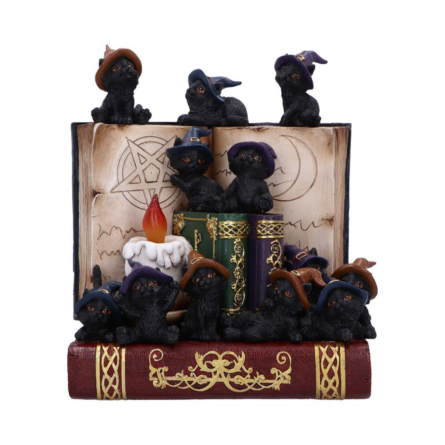 Coven Keepers Display Stand with 36 Pieces 1