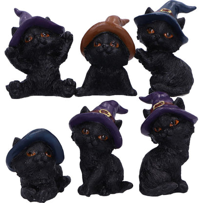 Coven Keepers Replacement Cats Twelve Pieces 6cm 6