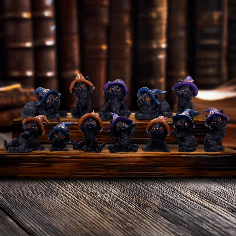Coven Keepers Replacement Cats Twelve Pieces 6cm 7
